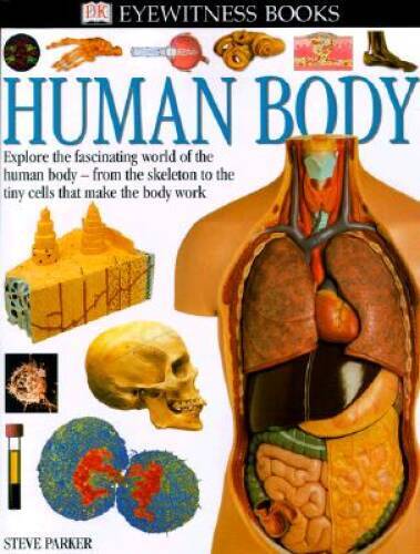 Eyewitness: Human Body (Eyewitness Books) – Hardcover By Parker, Steve – GOOD