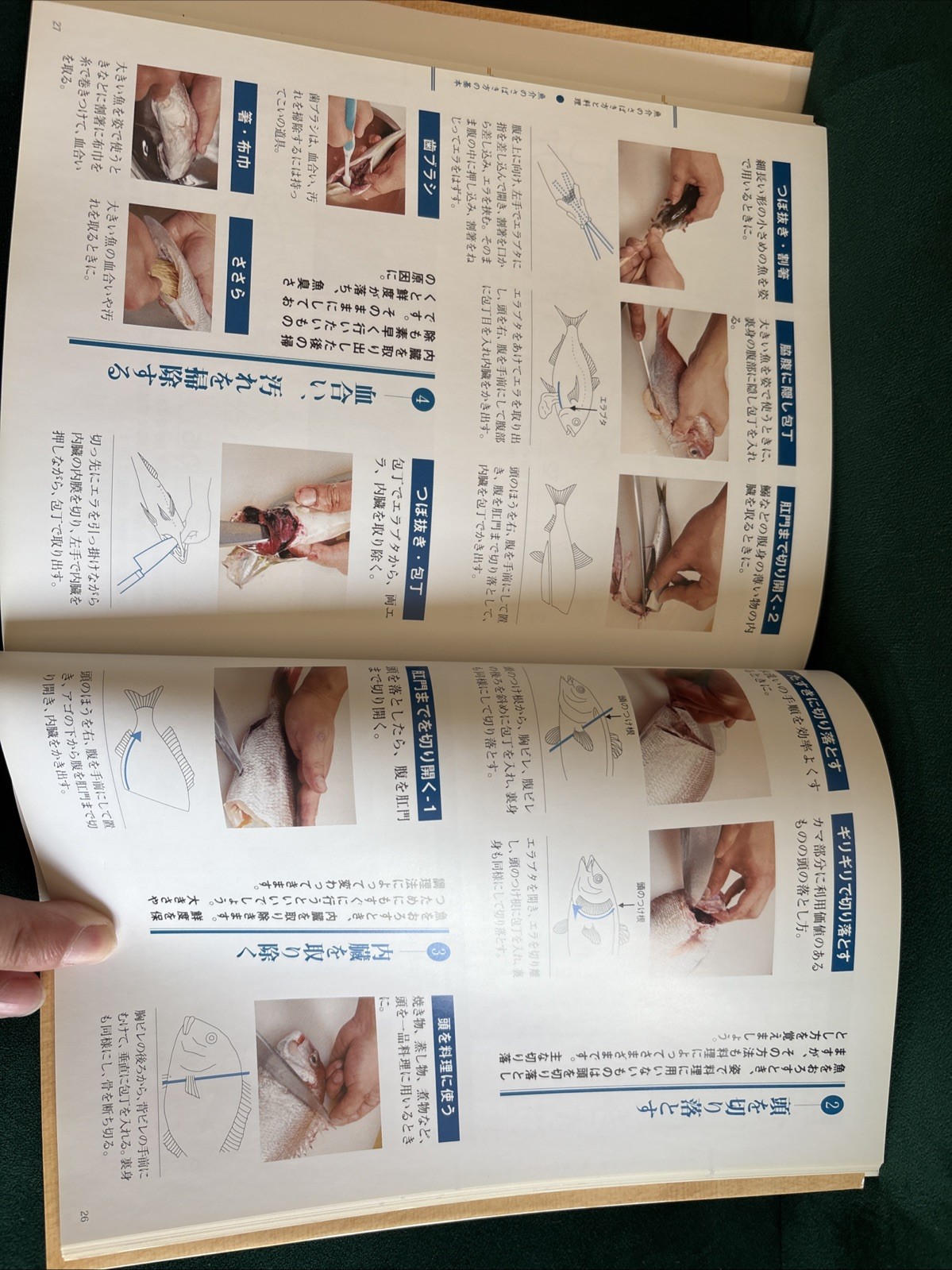 The Most Helpful Kitchen Knife Textbook – Japanese Cuisine – 141 Recipes – Japan