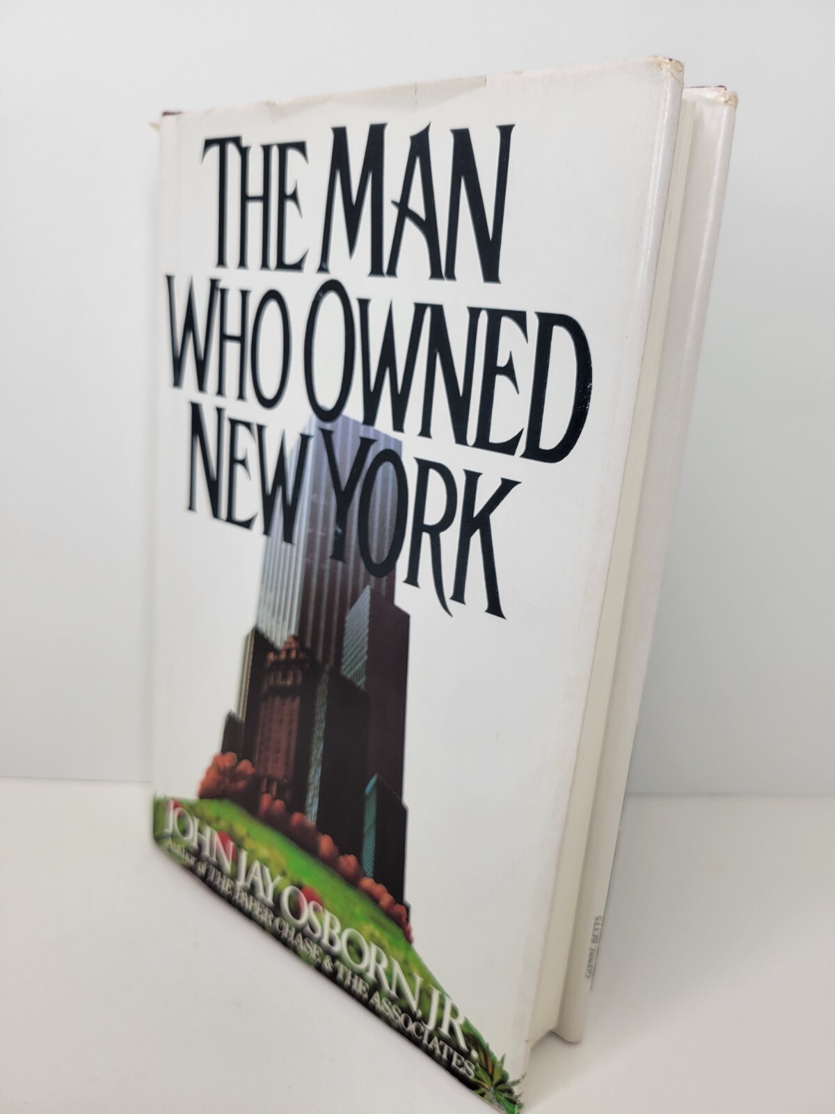 The Man Who Owned New York by John Jay Osborn, Jr. First Edition/Printing HB/DJ