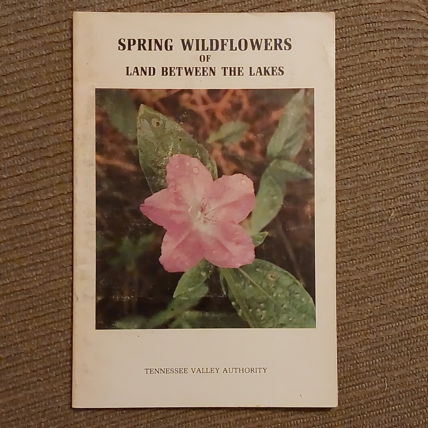 Ellis & Chester Spring Wildflowers Land Between the Lakes 1971 PB Illustrated