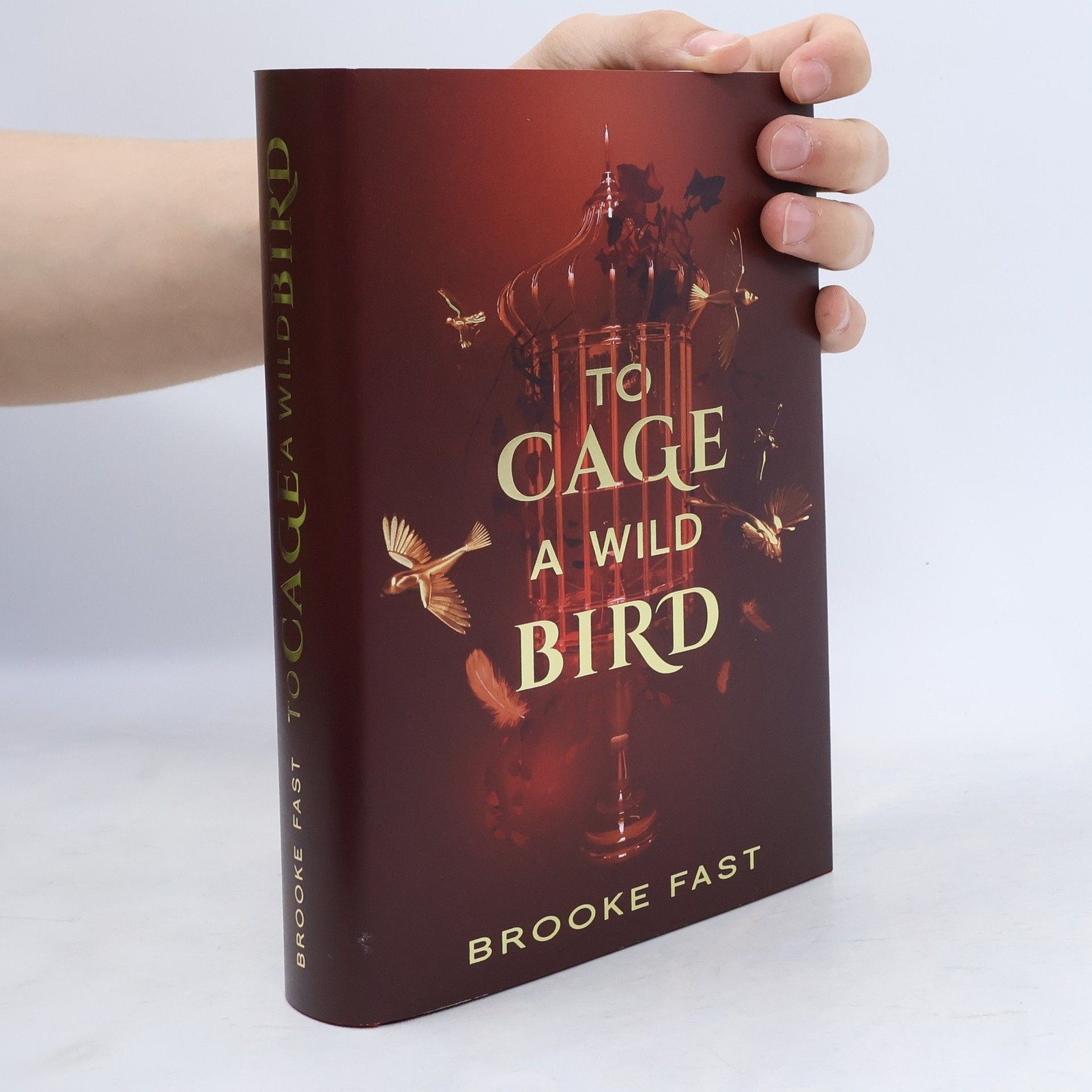 To Cage a Wild Bird  |  Brooke Fast