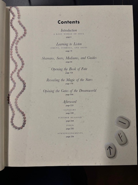 Stephen Karcher – Illustrated Encyclopedia of Divination (Hardcover, 1997)