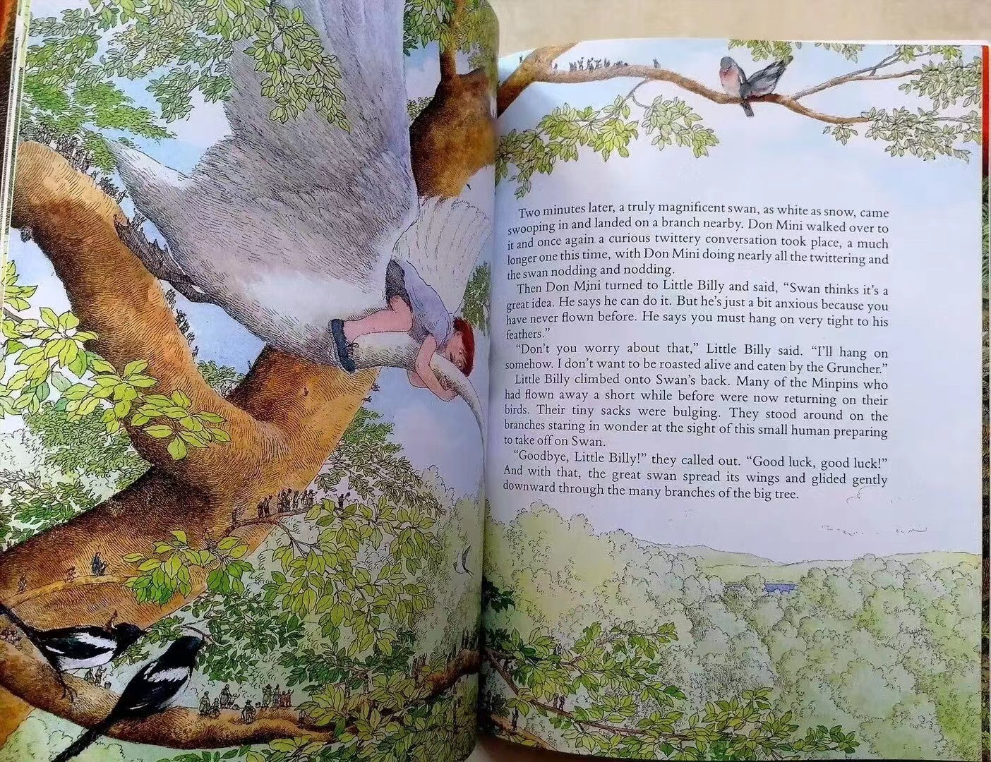 Roald Dahl in Colour: Complete 20-Book Boxed Set