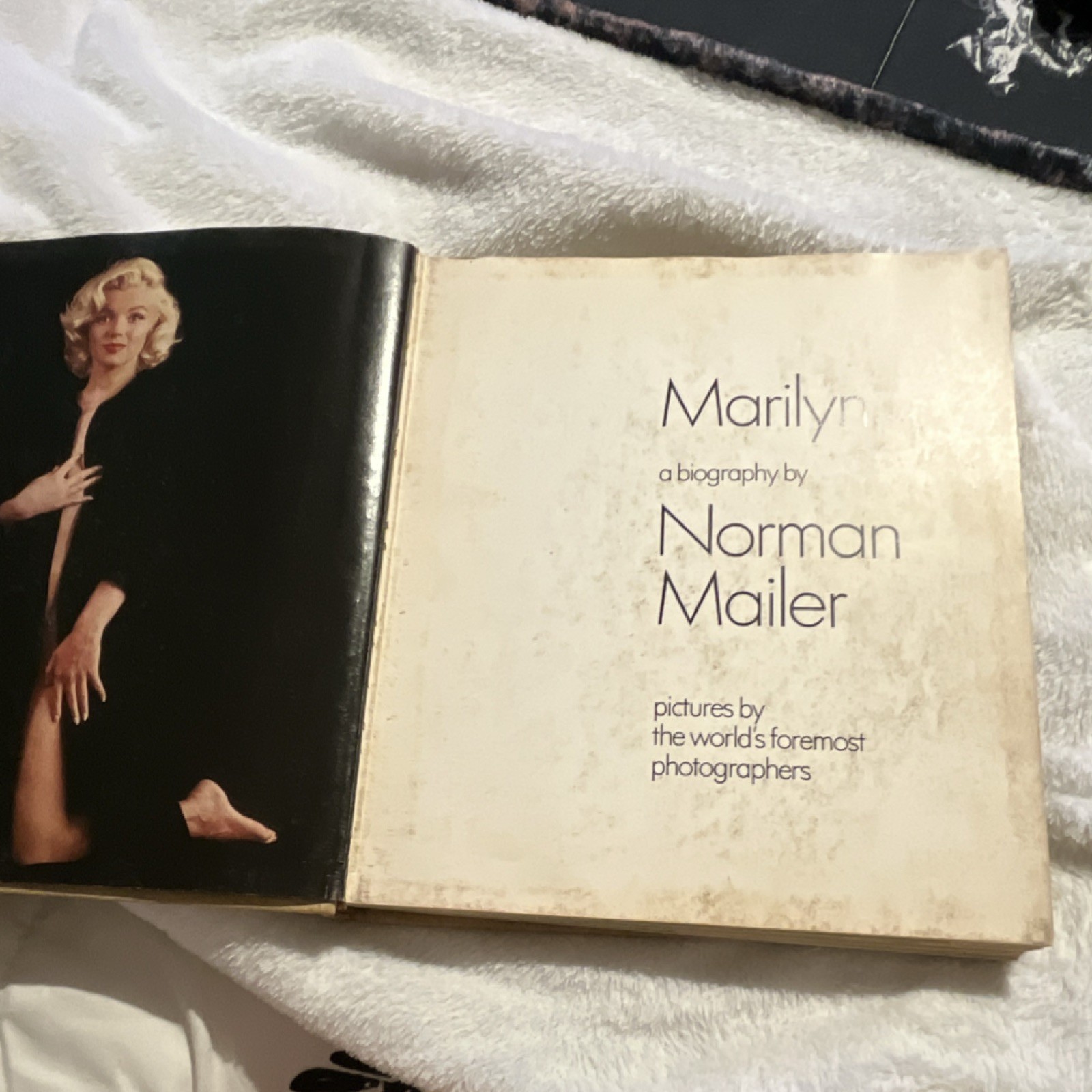 Marilyn: a Biography by Norman Mailer Illustrated Hardcover Entertainment Film