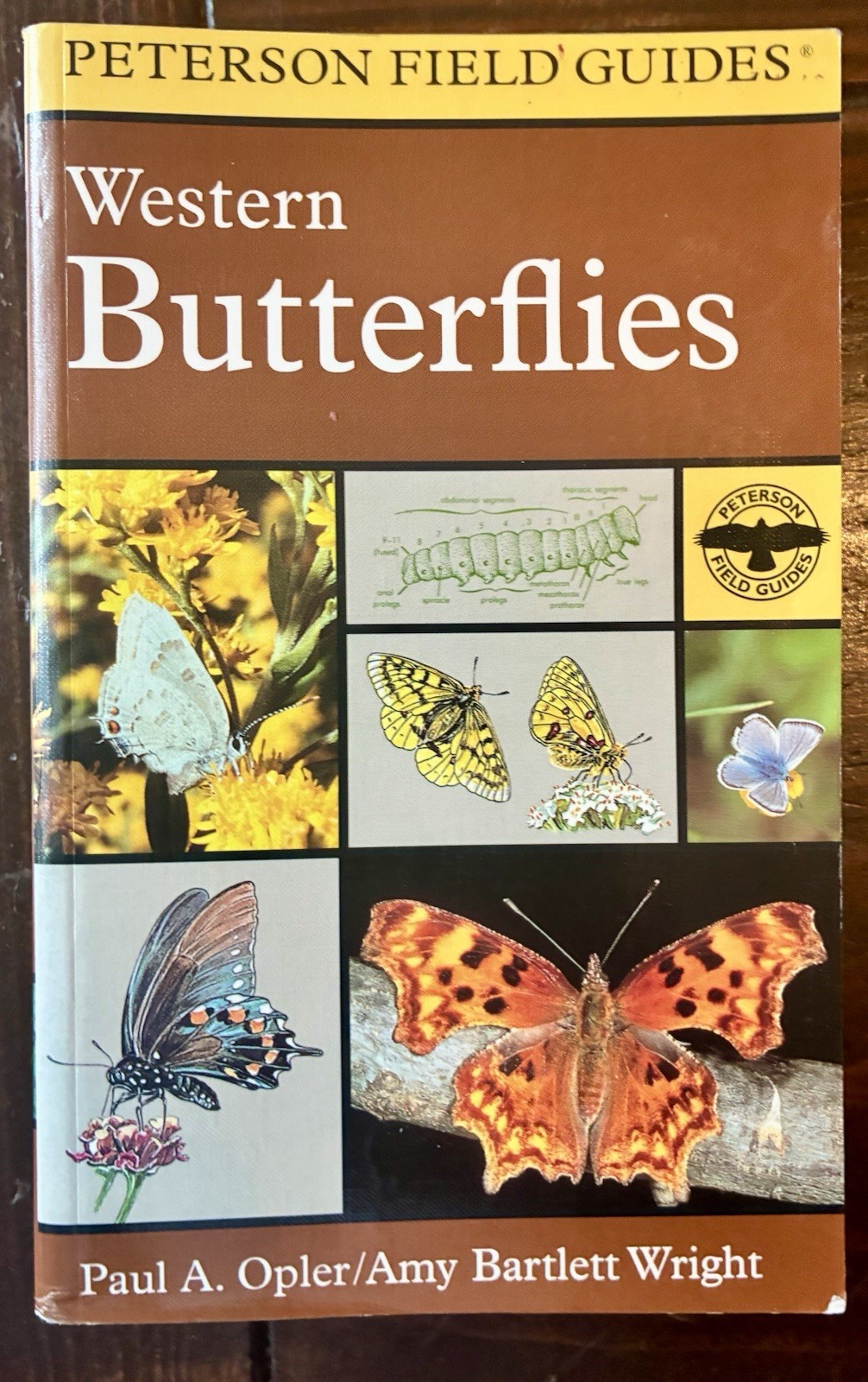 Field Guide to Western Butterflies by Paul A. Opler (1999, Trade Paperback)