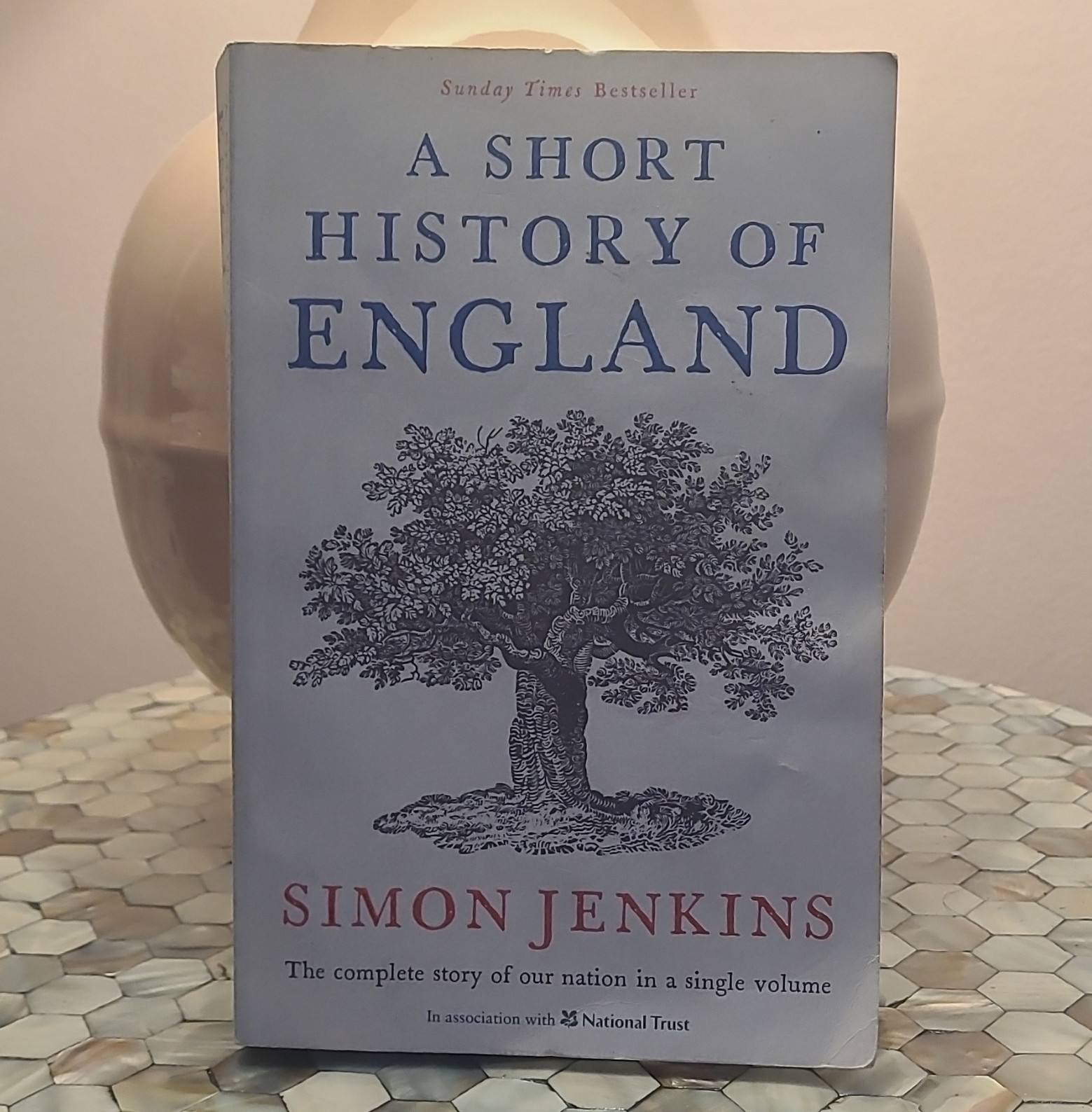 A Short History of England Simon Jenkins Paperback Profile Books History