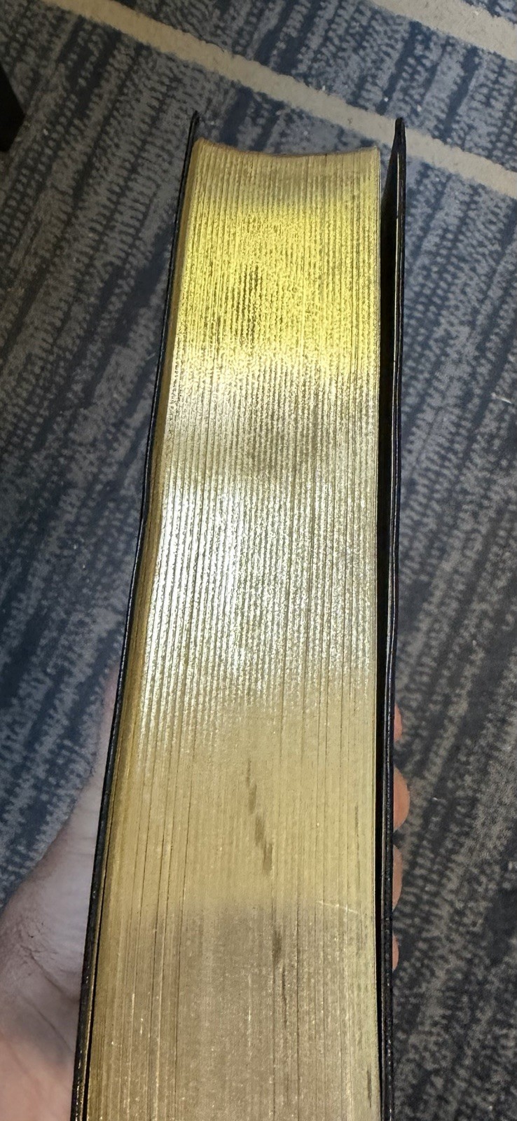 🙏 St. Joseph Edition New American Bible Revised Edition Leather 609/19B Medium