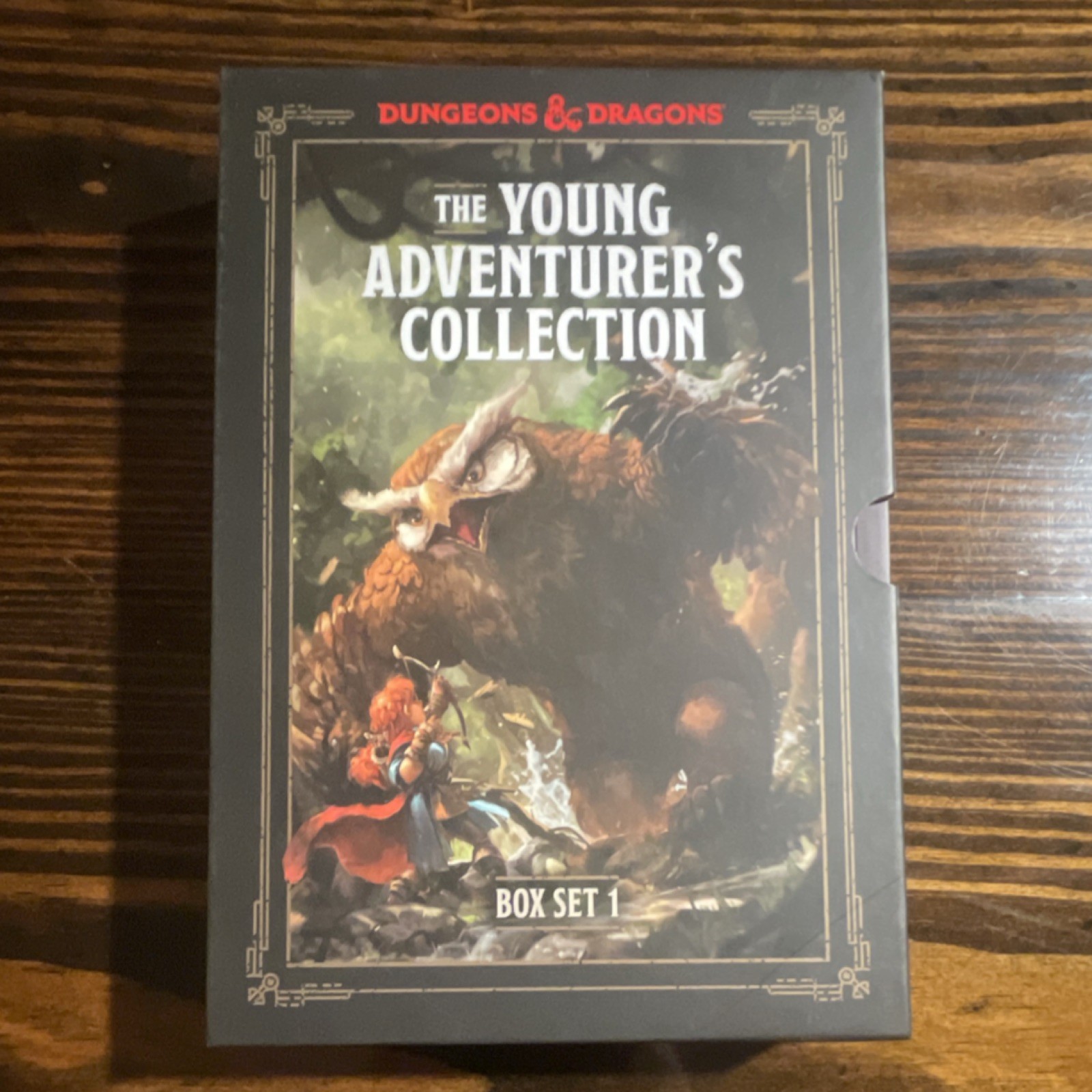 Dungeons & Dragons Young Adventurer’s Guides Box Set Illustrated Ten Speed Press