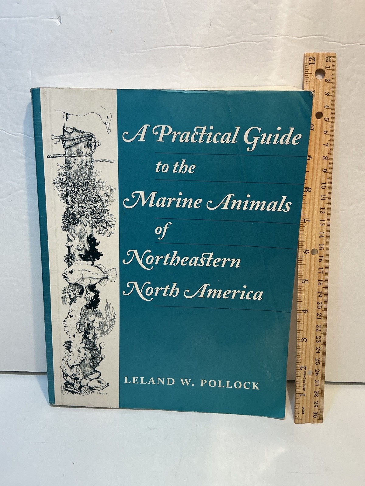 A Practical Guide to the Marine Animals of Northeastern North America by Pollock