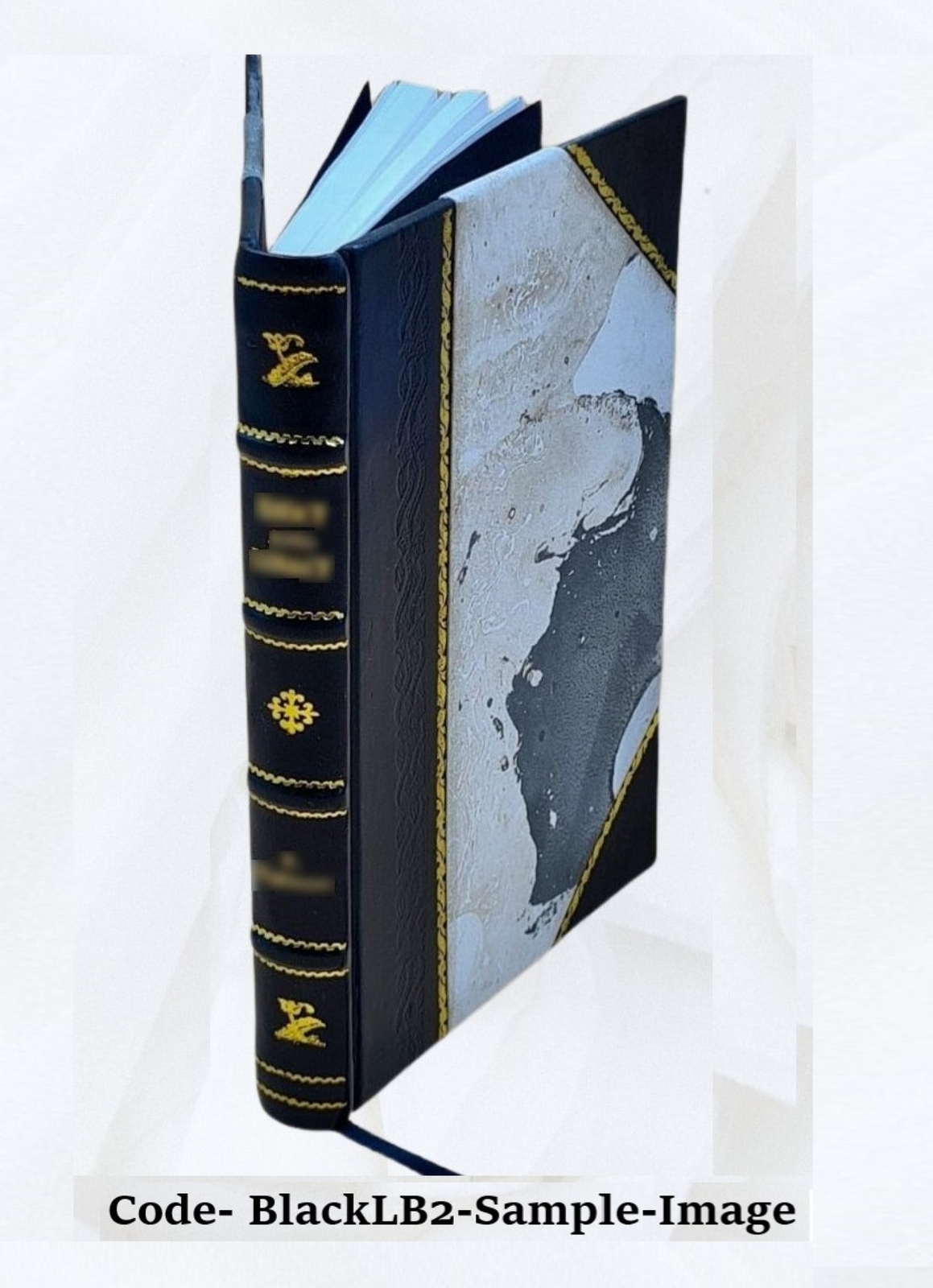 Juvenile Literature As It Is 1888 By Edward Salmon [Leather Bound]