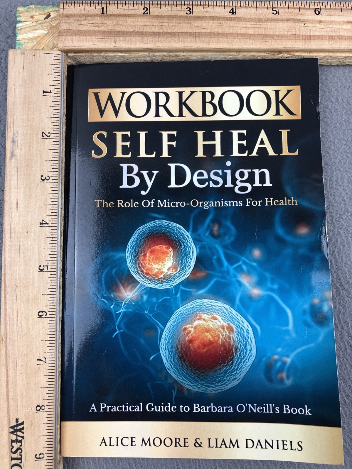 Workbook: Self-Heal by Design (Barbara ONeill) (Womens Health Paperback