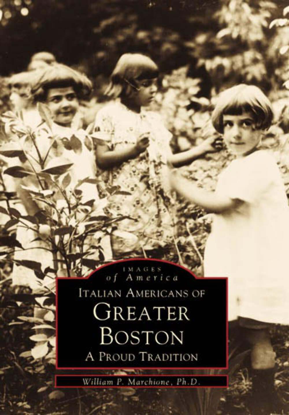 NEW Arcadia Publishing Italian Americans of Greater Boston, MA 9780738501093 Ima