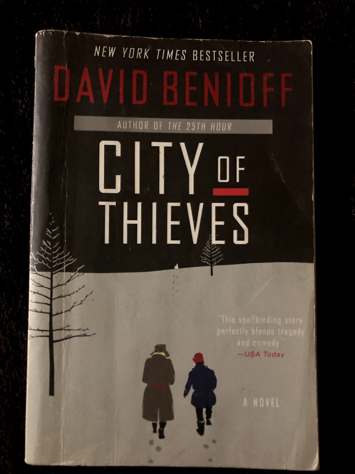 City of Thieves : A Novel by David Benioff (2009, Uk-B Format Paperback)