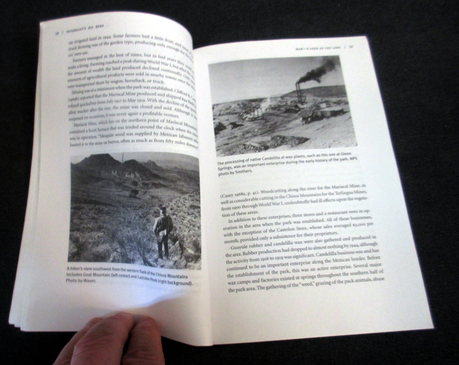 Naturalist’s Big Bend – The Nature of Big Bend Texas – softcover bcx
