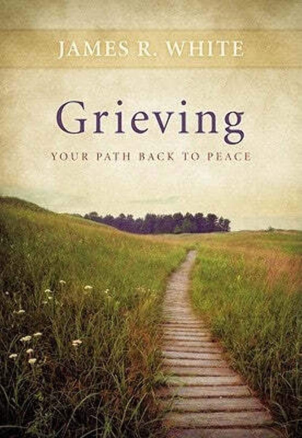 Grieving: Your Path Back to Peace (Crisis Points) – James R. White – Good – …