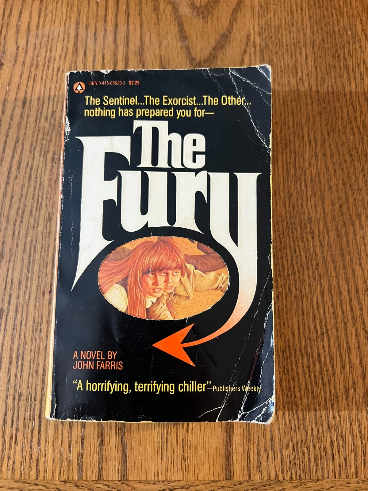 The Fury: A novel by John Farris