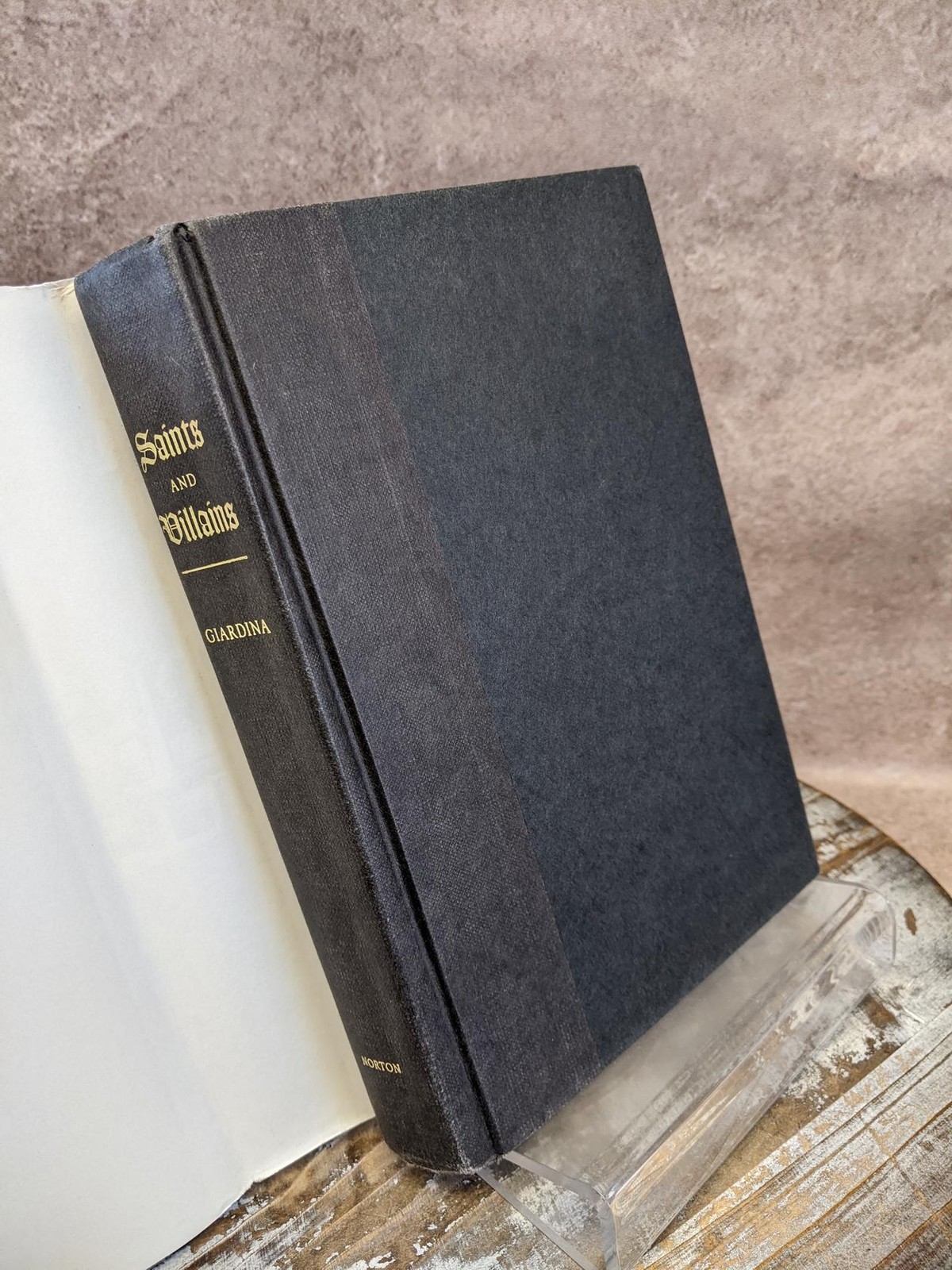 Saints and Villains: A Novel by Denise Giardina Hardcover Book w/ Dust Jacket
