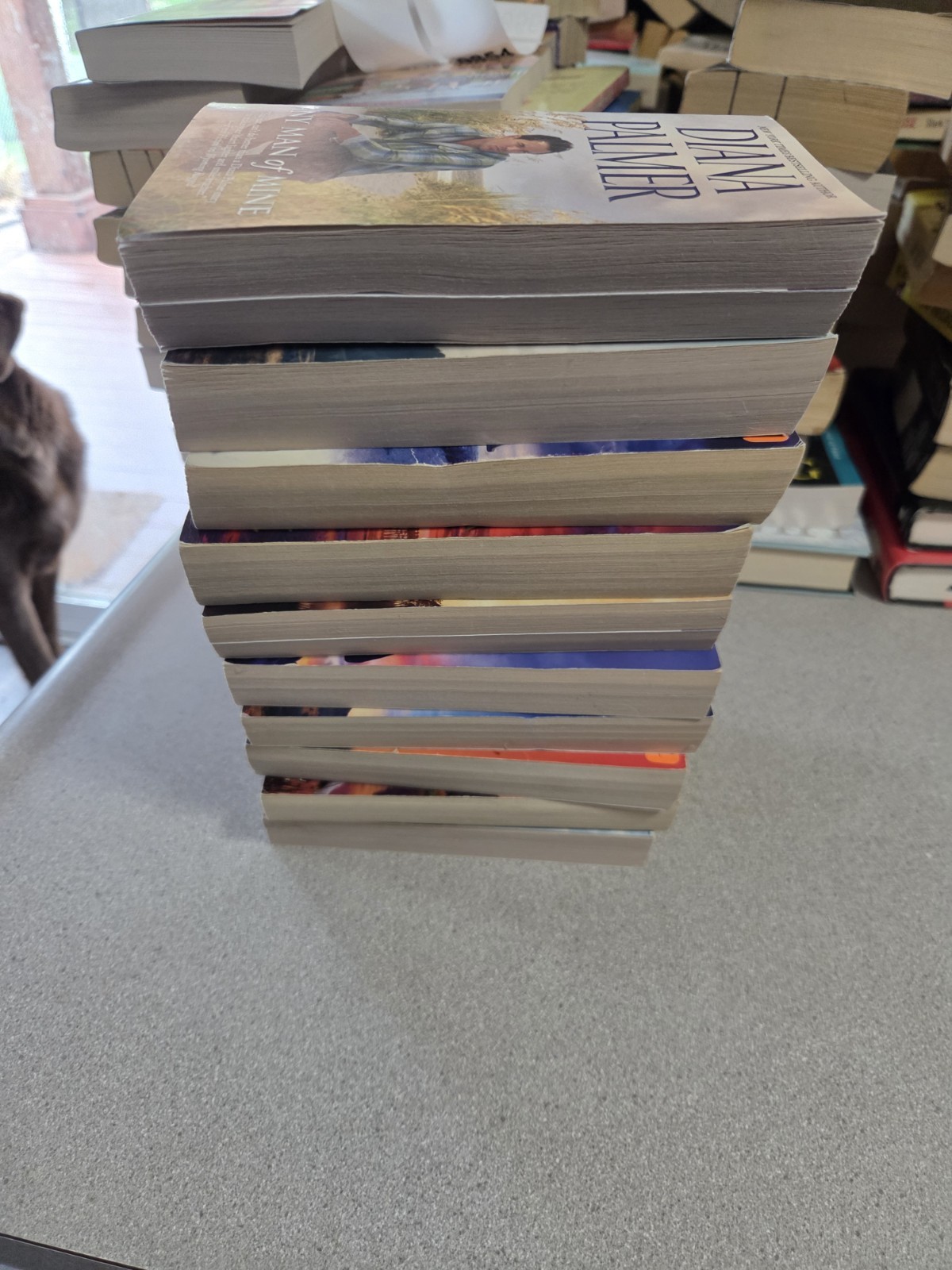 Diana Palmer Lot Of 10 Books Two Are A 2-in-1. Total 12 Stories Romance