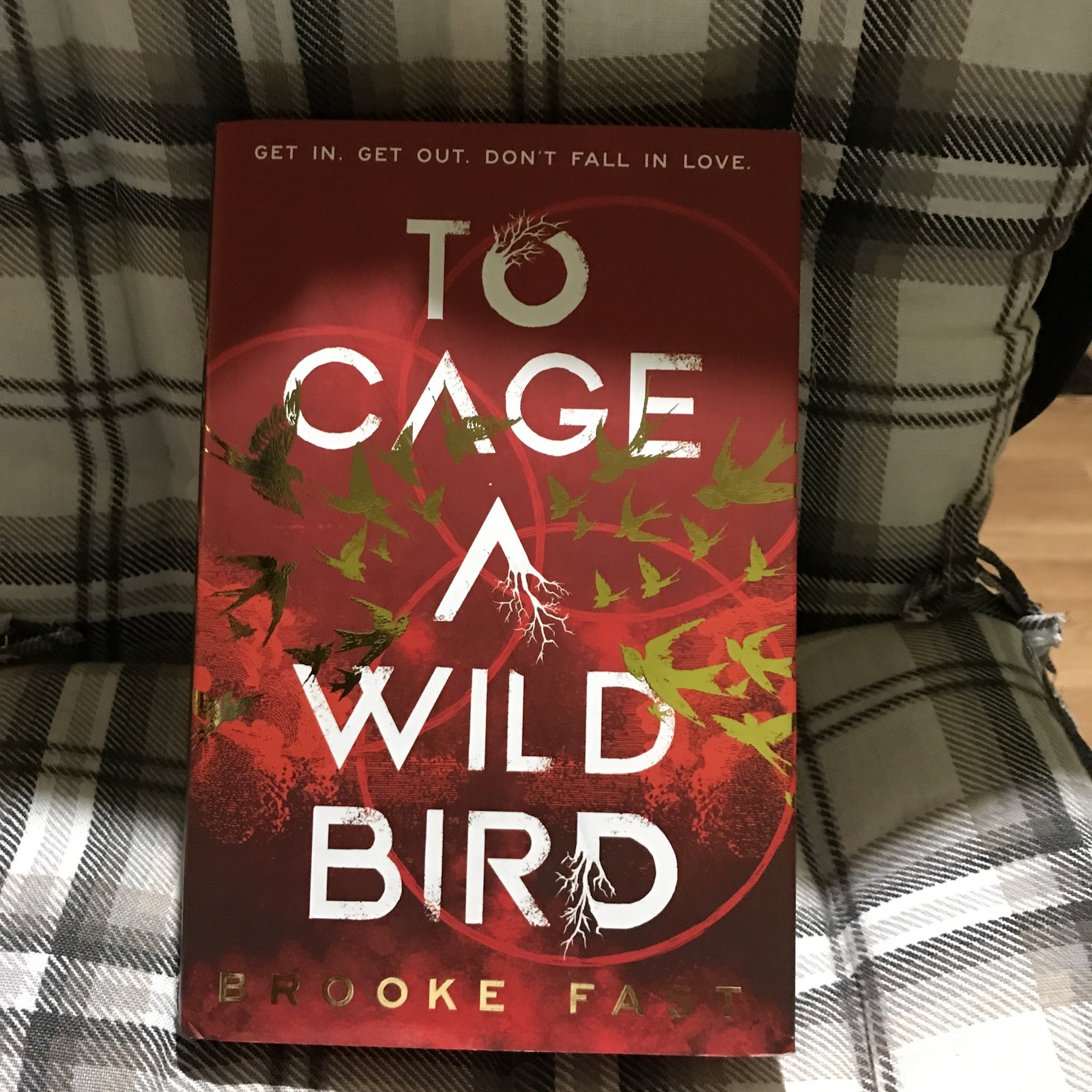 *To Caje A Wild A Wild Bird* Brooke Fast (Hardcover)