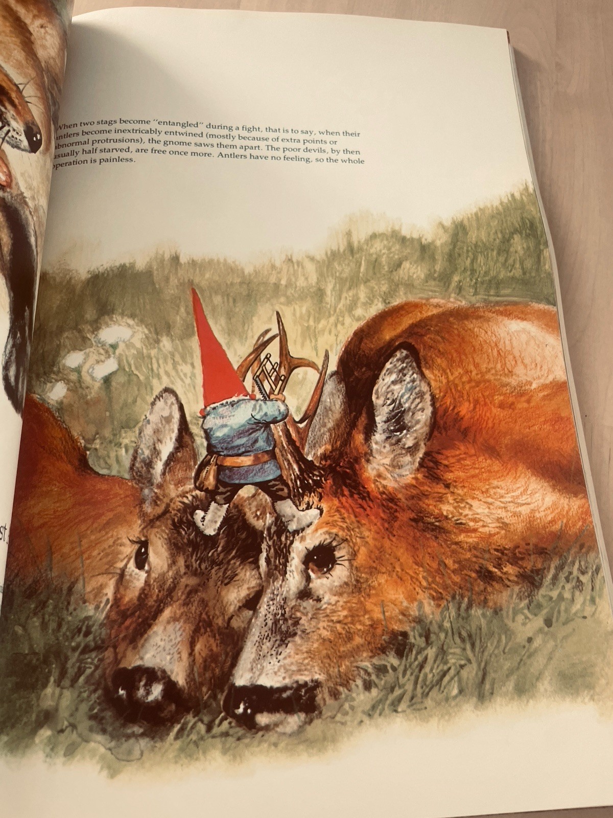 Gnomes by Wil Huygen 1979 Vintage 1st Edition Illustrated Paperback Book 12×8.25