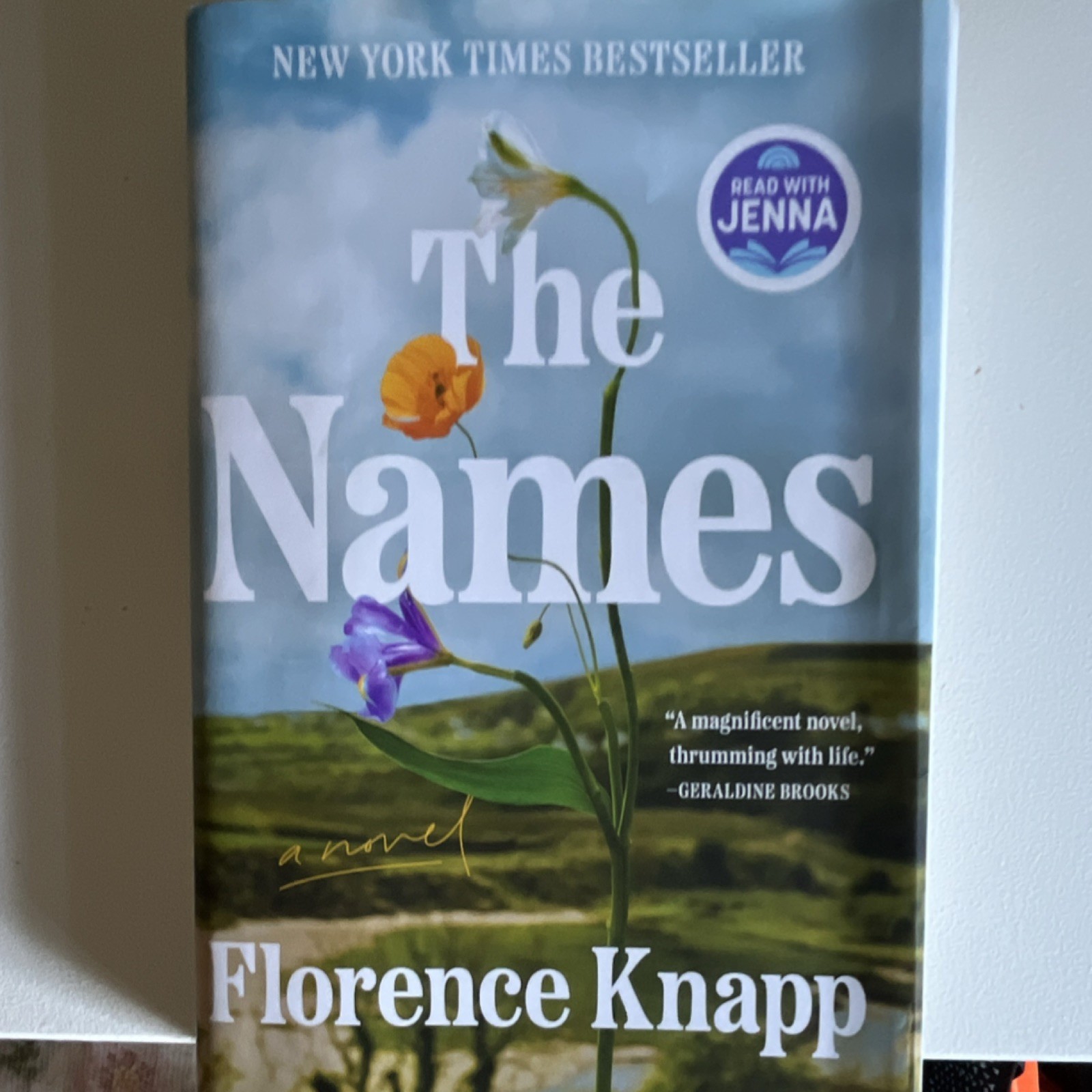 Florence Knapp The Names Hardcover Novel Penguin Dust Jacket