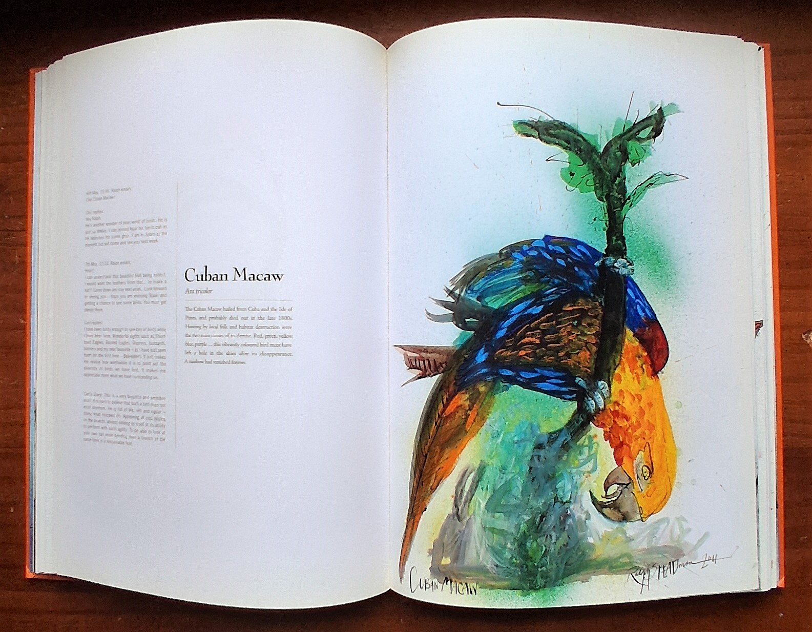 EXTINCT BOIDS Birds Ralph Steadman & Ceri Levy 2012 Hardcover Dustjacket Dodo