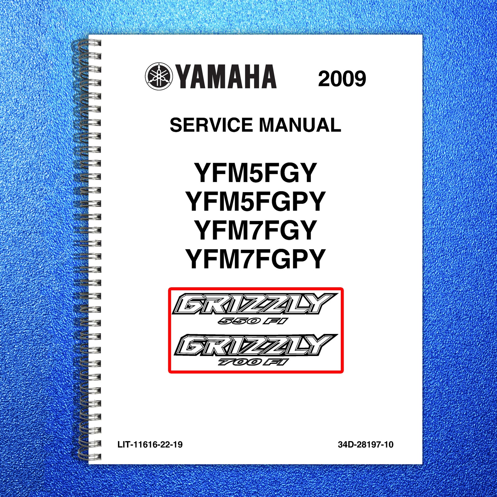 YAMAHA Grizzly 550 700 YFM5FG YFM7FG ATV Service Manual 2009, FOLDOUTS