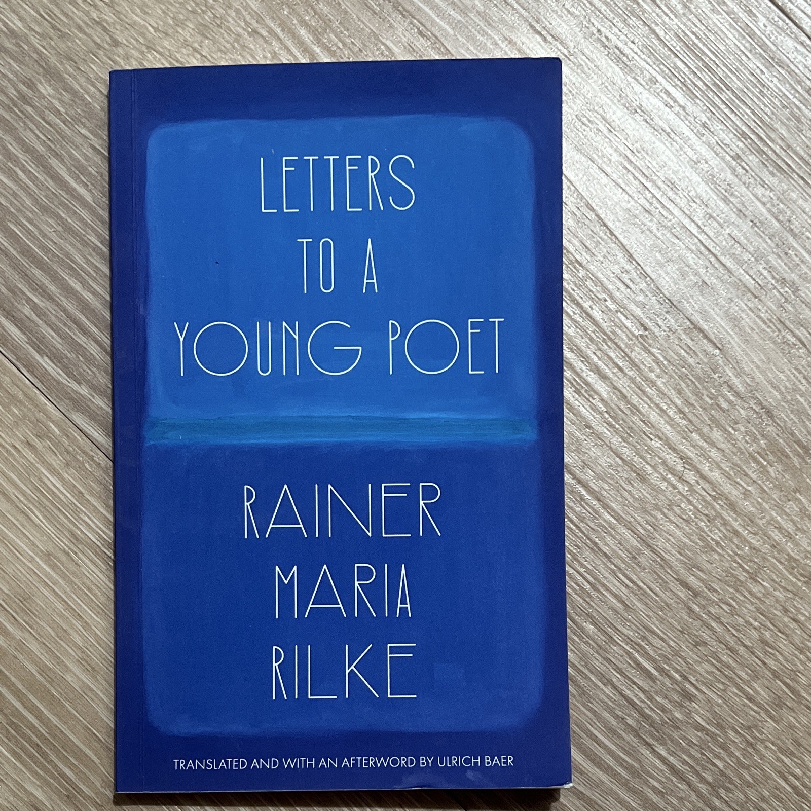 Letter To A Young Poet By Rainer Maria Rilke With Handwritten Notes, Paperback.