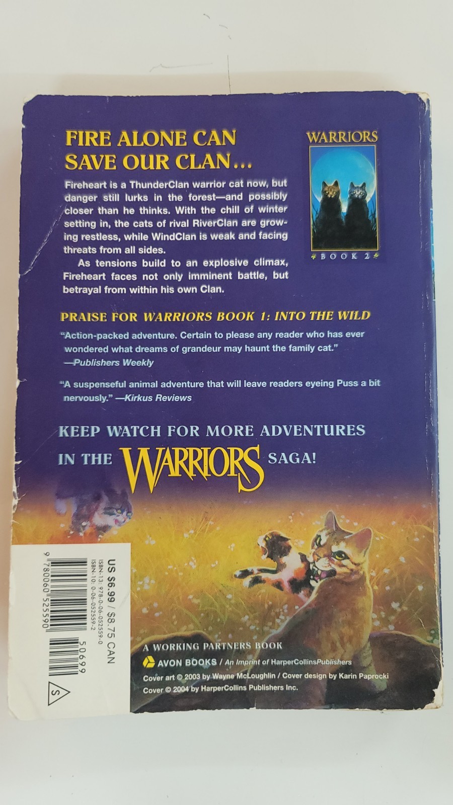 Warriors #2: Fire and Ice by Erin Hunter (2003, Hardcover)