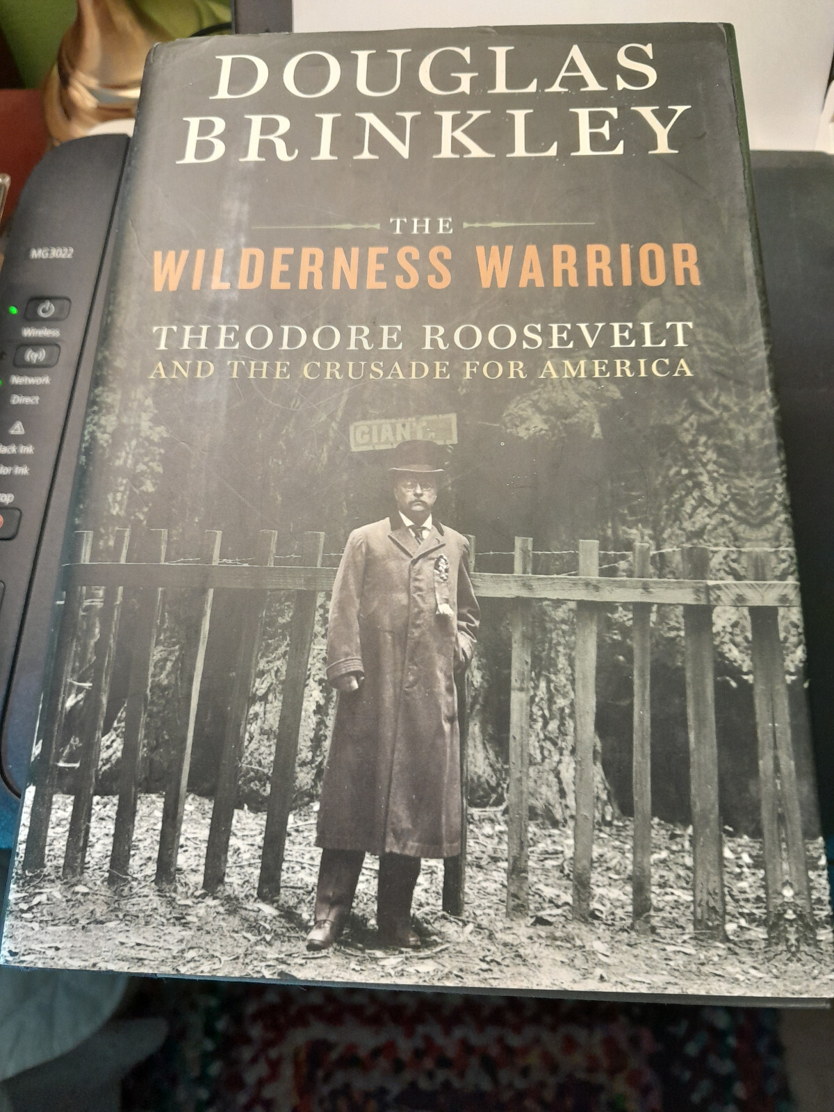 2009 The Wilderness Warrior – Douglas Brinkley, Roosevelt Bio, 1st Ed., HC/DJ