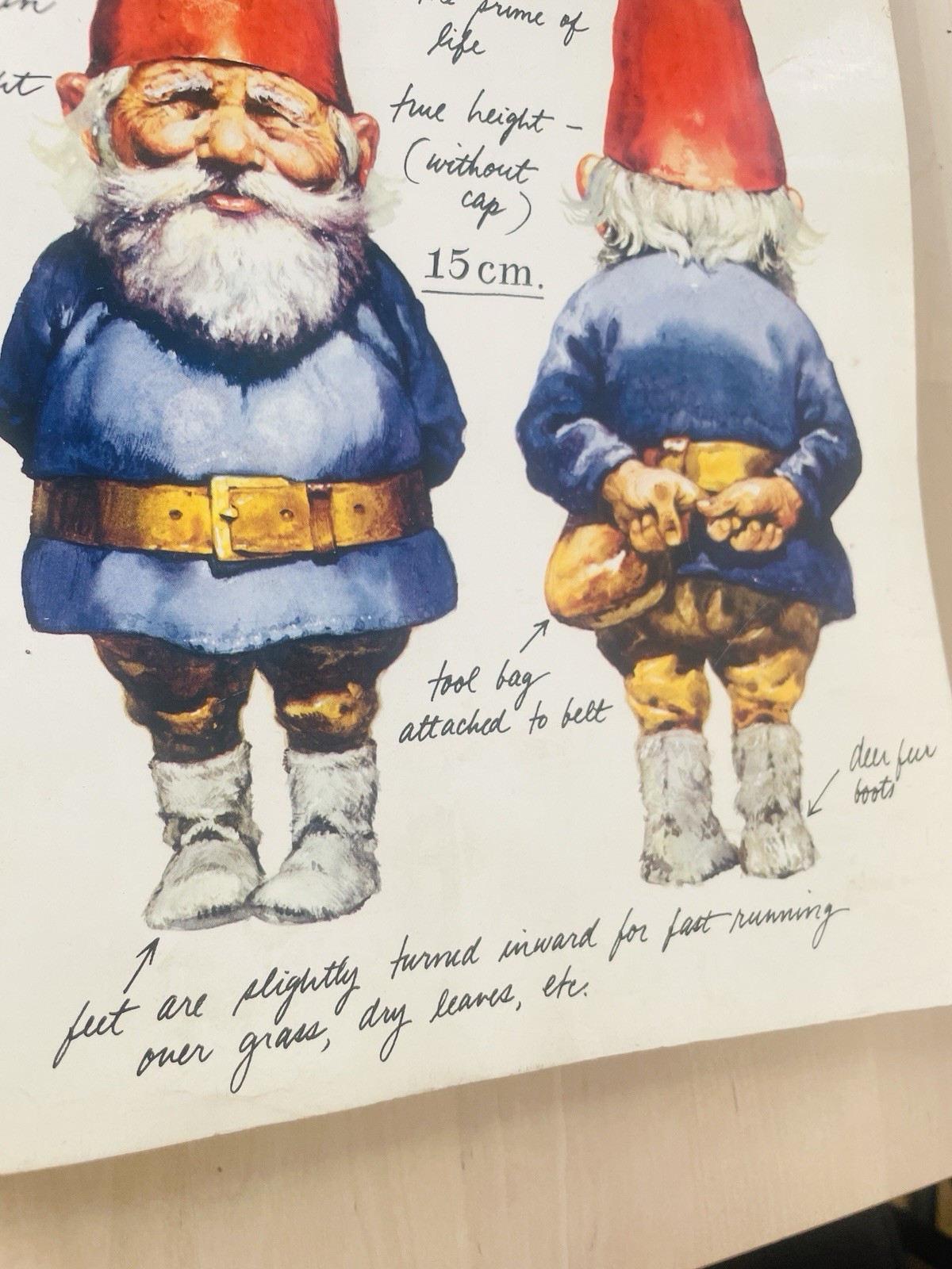 Gnomes by Wil Huygen 1979 Vintage 1st Edition Illustrated Paperback Book 12×8.25