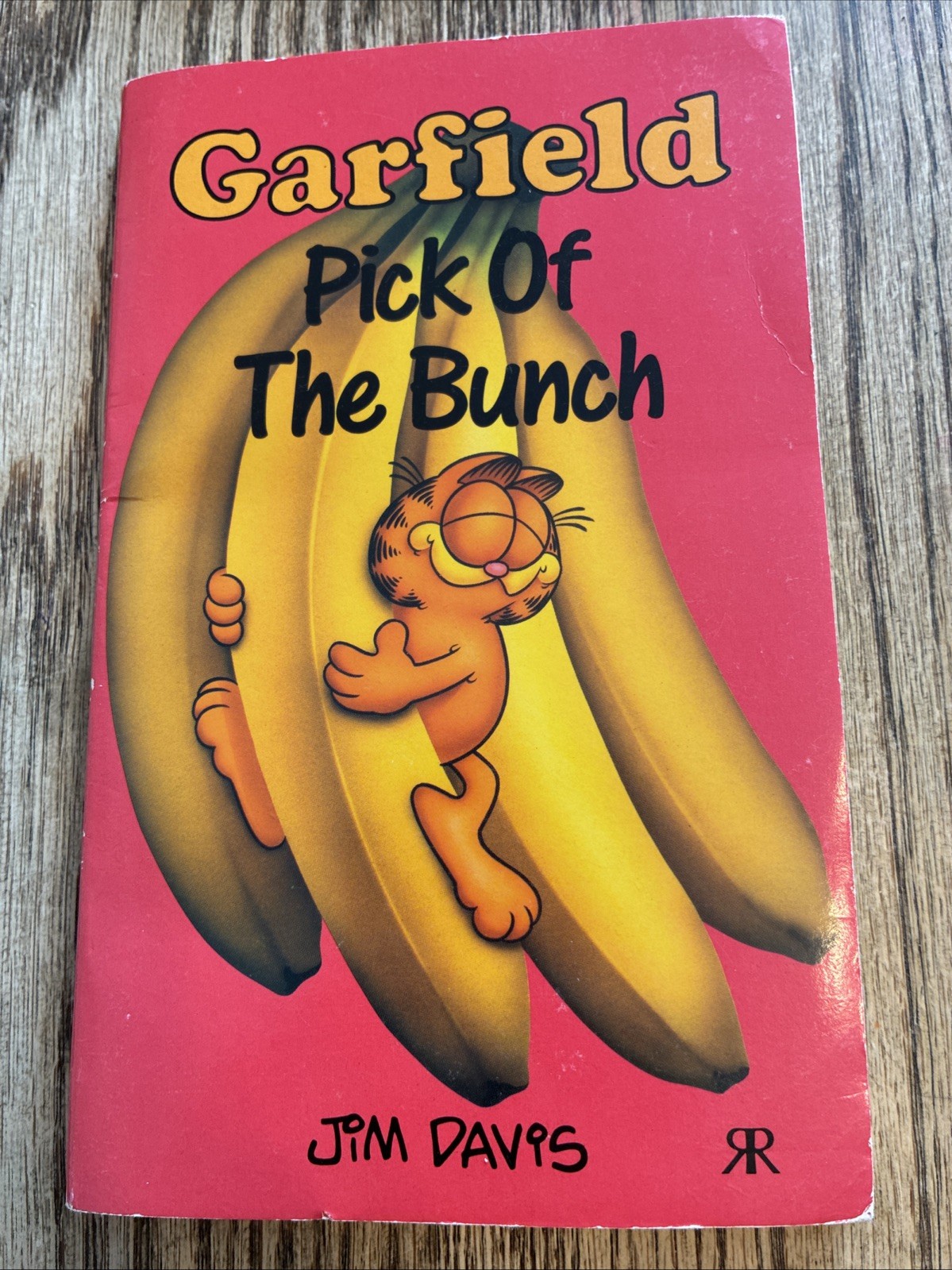 Garfield – Pick of the Bunch (Garfield Pocket Books) By Jim Davi