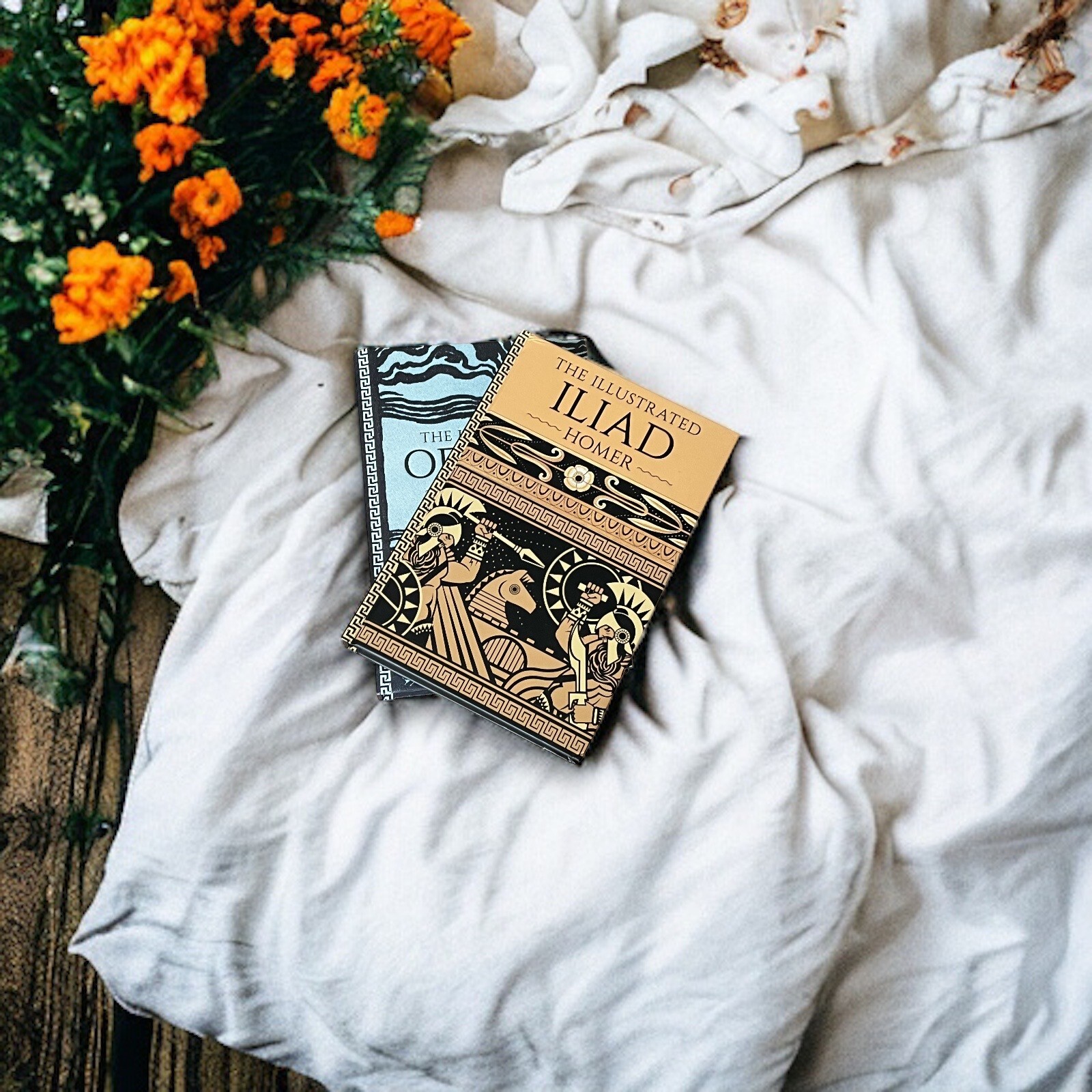 2-Book Set: THE ILLUSTRATED ILIAD & ODYSSEY by Homer Hardcover Deluxe Classics